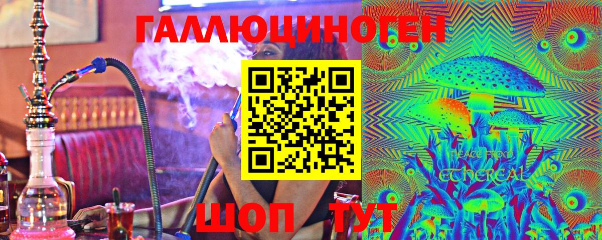 Кольчугино  Псилоцибиновые грибы Psilocybe  Псилоцибиновые грибы мицелий  что такое   Вход с VPN 