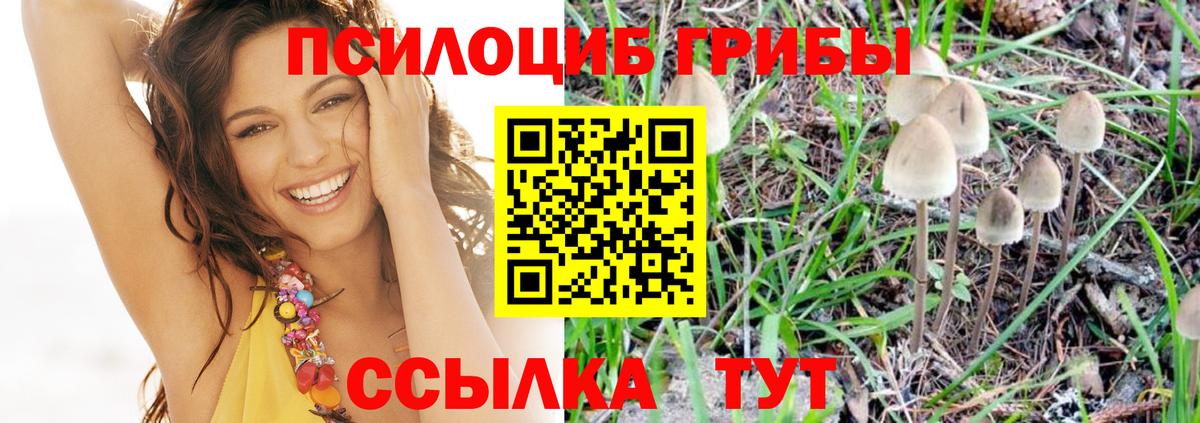 Галлюциногенные грибы MAGIC MUSHROOMS Кольчугино